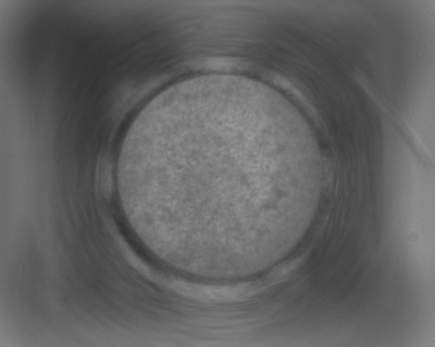 X0000081320016200702082148