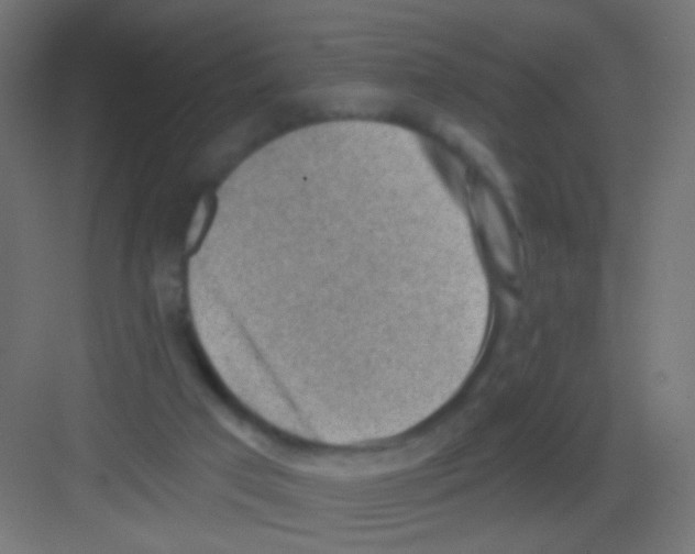 X0000081320017200702082148