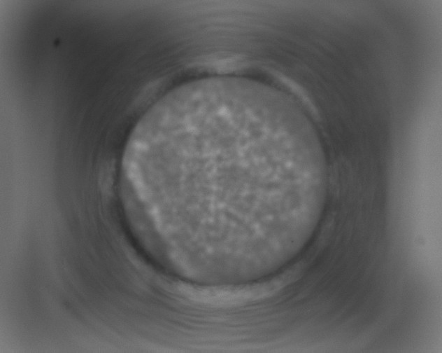 X0000081320018200702082148