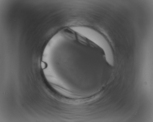 X0000081320019200702082148