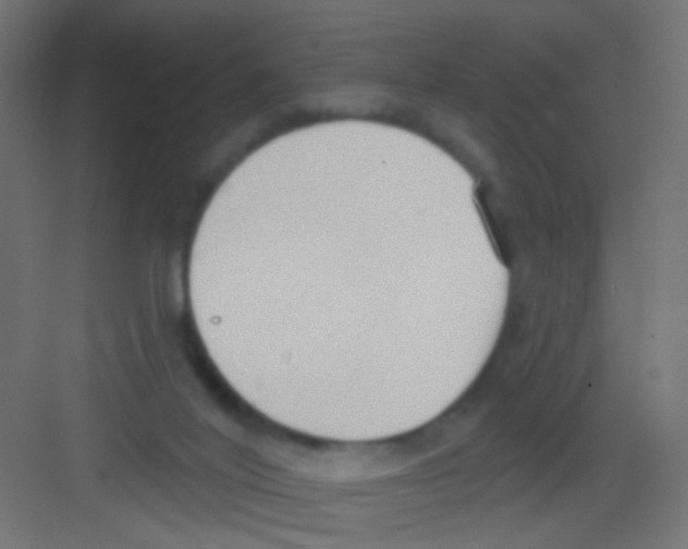 X0000081320020200702082148