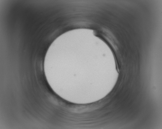 X0000081320021200702082148