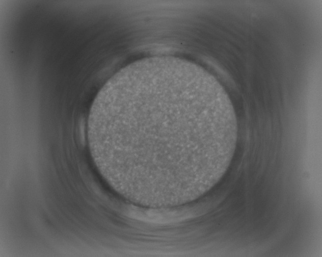 X0000081320022200702082148