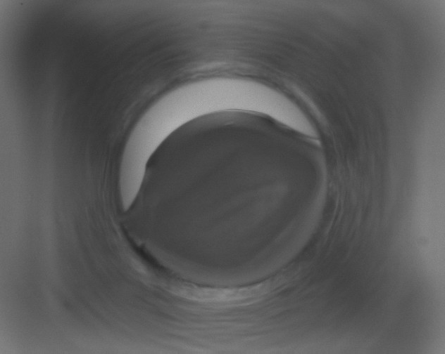 X0000081320023200702082148