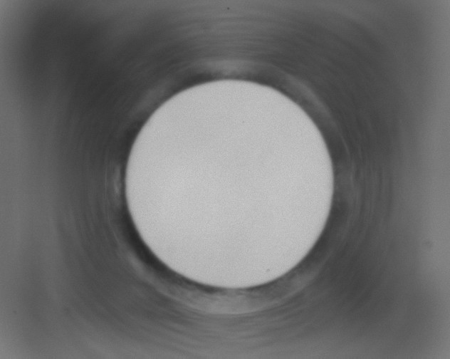 X0000081320024200702082148