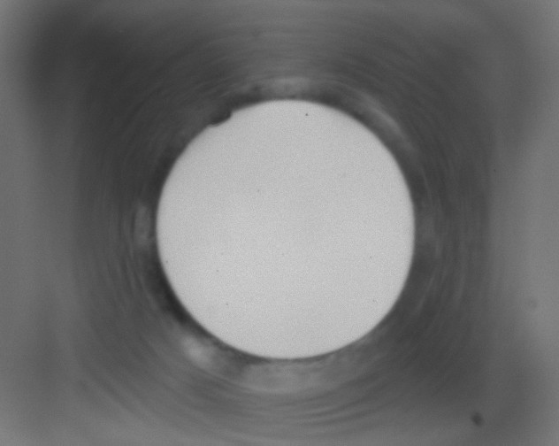 X0000081320025200702082148