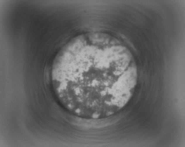 X0000081320026200702082148