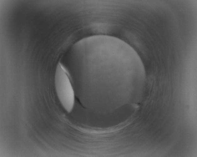 X0000081320027200702082148