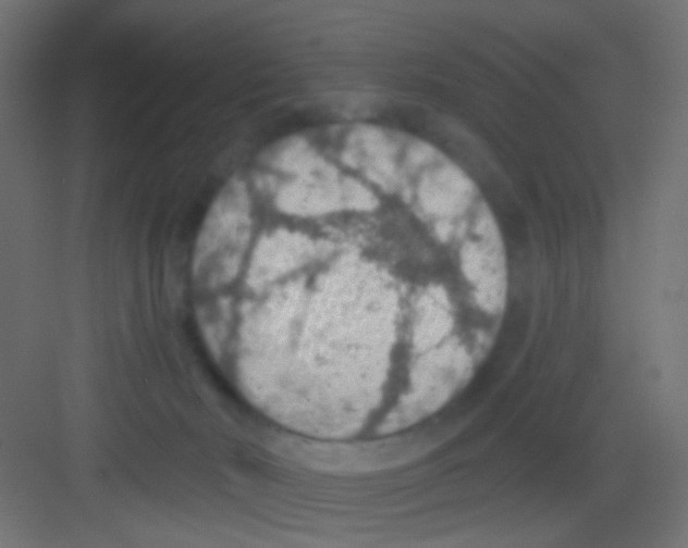 X0000081320030200702082147