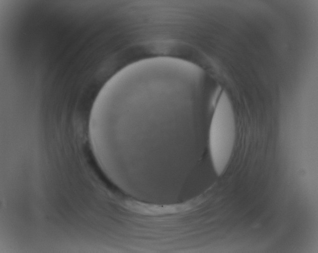 X0000081320031200702082147