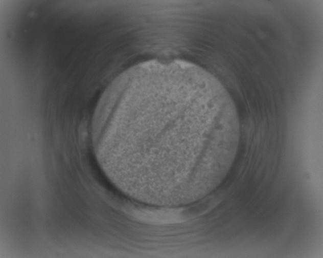 X0000081320032200702082147