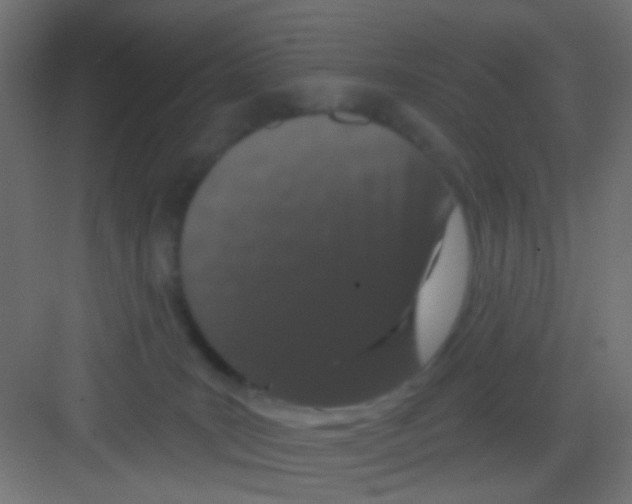 X0000081320035200702082147