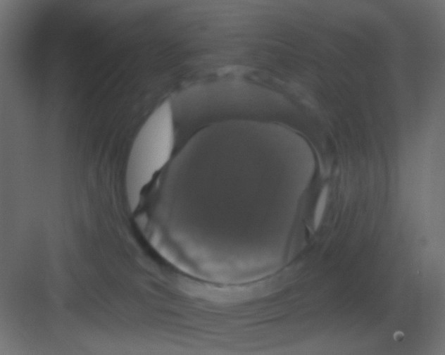 X0000081320039200702082147