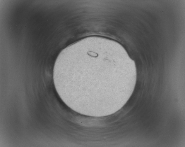 X0000081320040200702082147