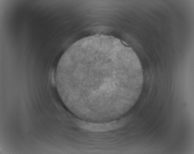 X0000081320042200702082147