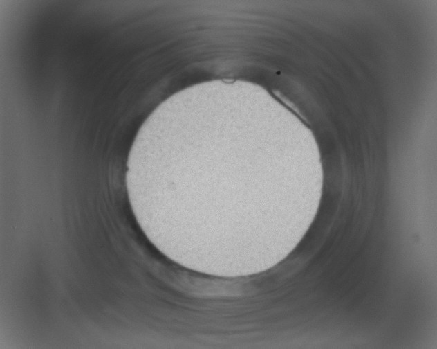 X0000081320044200702082147