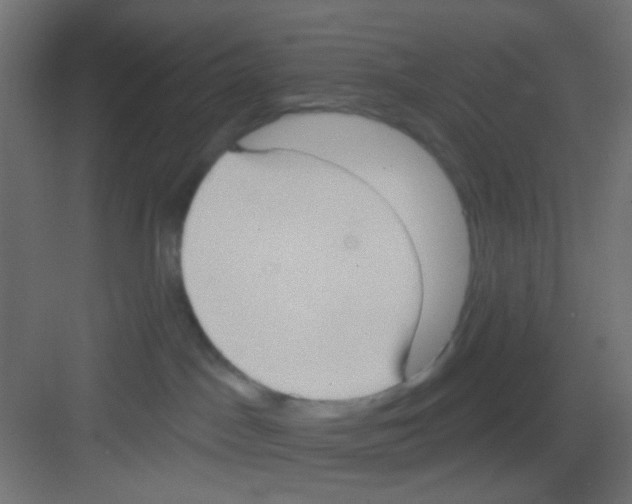 X0000081320045200702082147