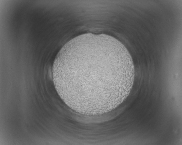 X0000081320046200702082147