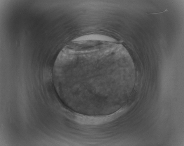 X0000081320048200702082147