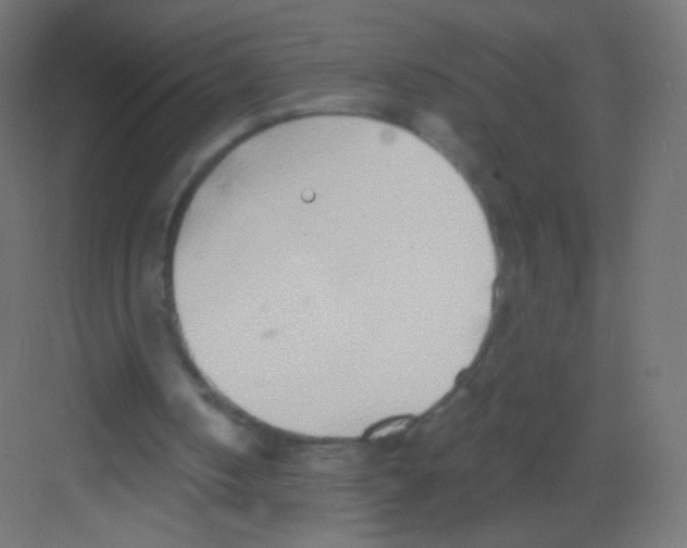 X0000081320050200702082146