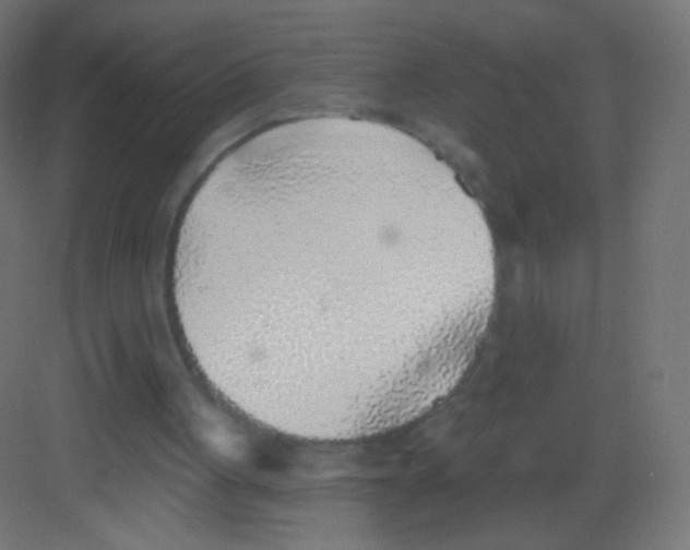 X0000081320051200702082146