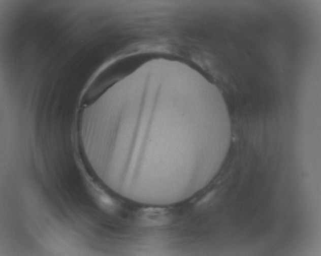 X0000081320052200702082146