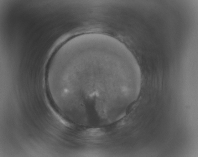 X0000081320054200702082146