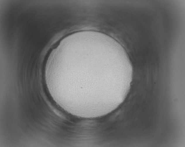 X0000081320055200702082146