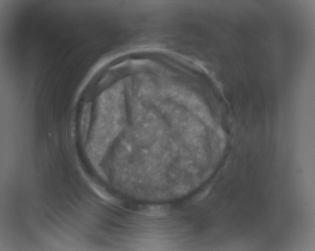 X0000081320056200702082146