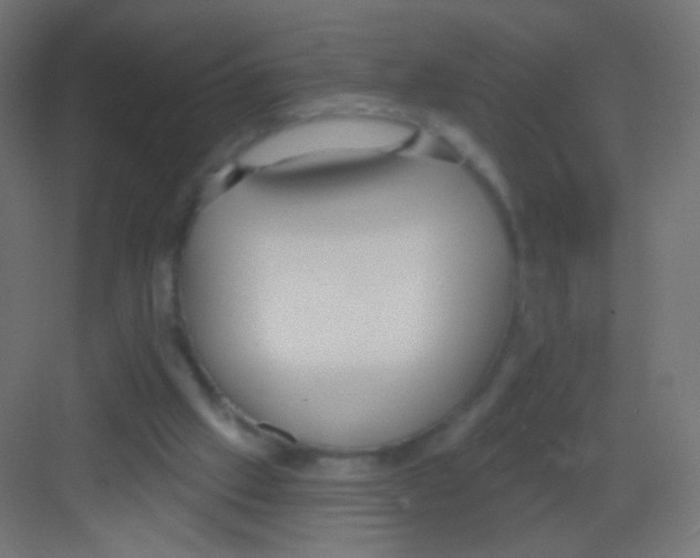 X0000081320057200702082147