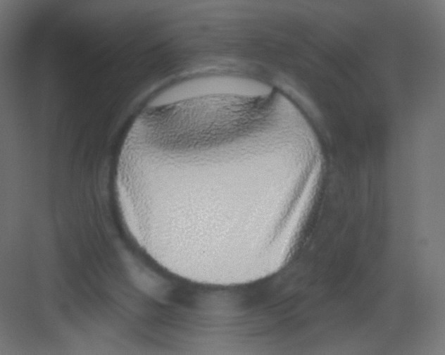 X0000081320058200702082147