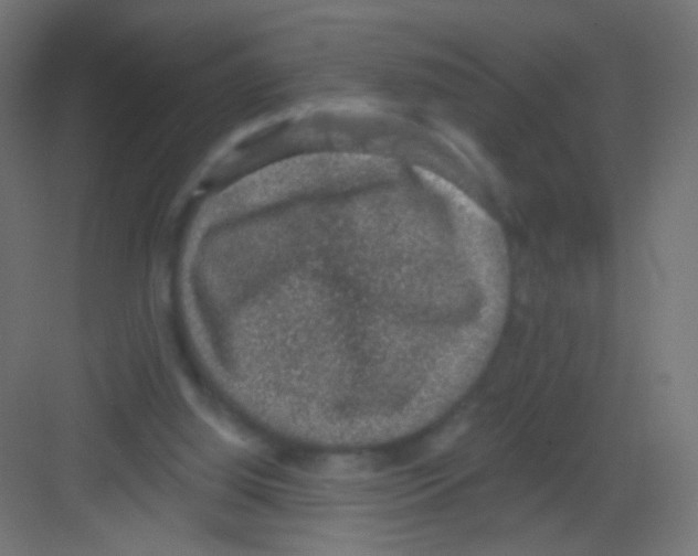 X0000081320060200702082147