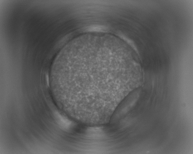 X0000081320061200702082147