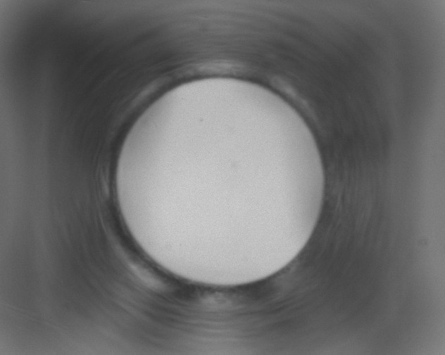 X0000081320062200702082147