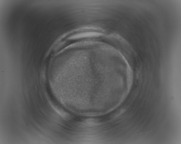 X0000081320064200702082147