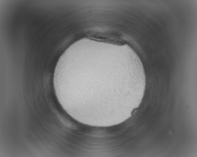 X0000081320066200702082147