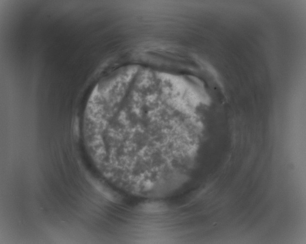 X0000081320067200702082147