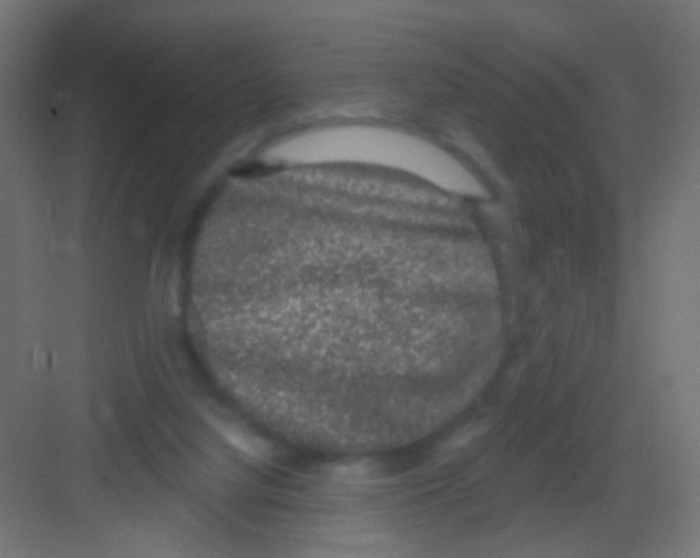 X0000081320068200702082147