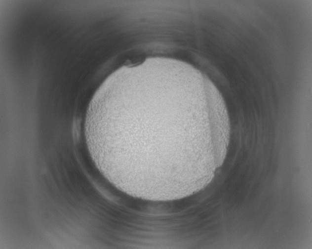 X0000081320070200702082147