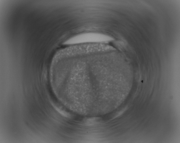 X0000081320072200702082147