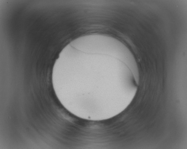 X0000081320073200702082147