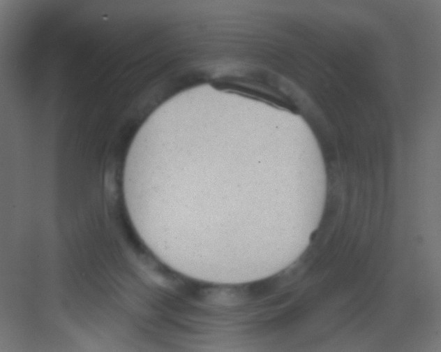 X0000081320074200702082147