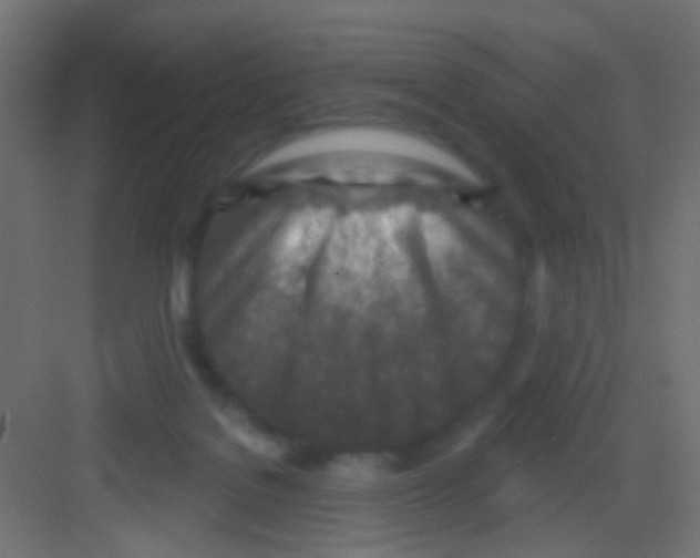 X0000081320076200702082147