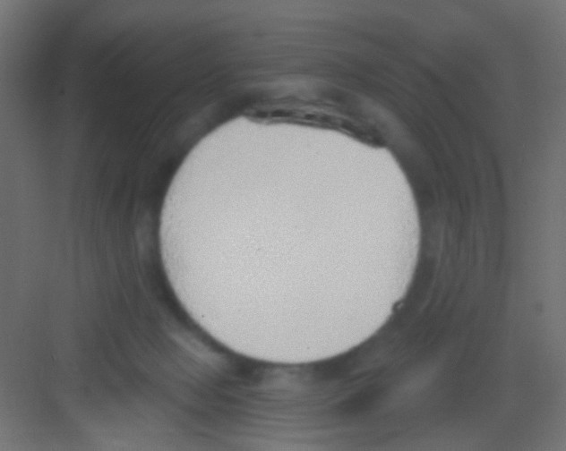 X0000081320077200702082147