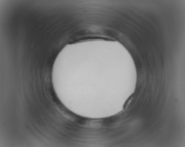 X0000081320078200702082147