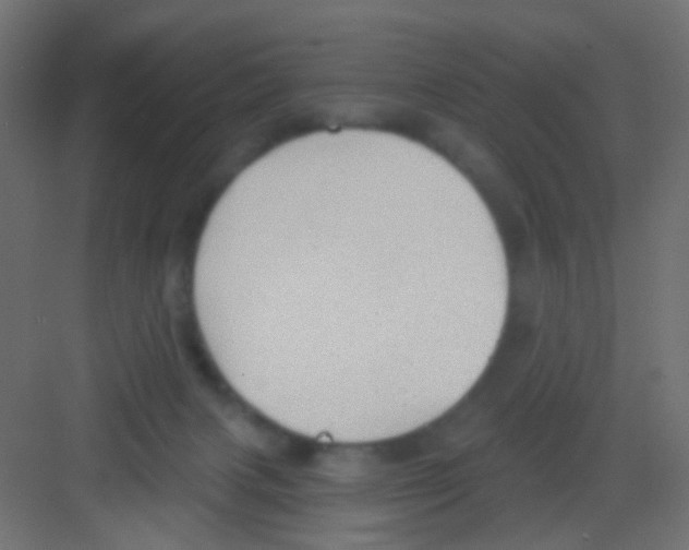 X0000081320079200702082147