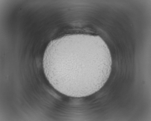 X0000081320081200702082147