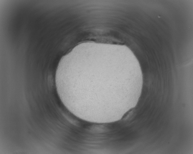 X0000081320086200702082147