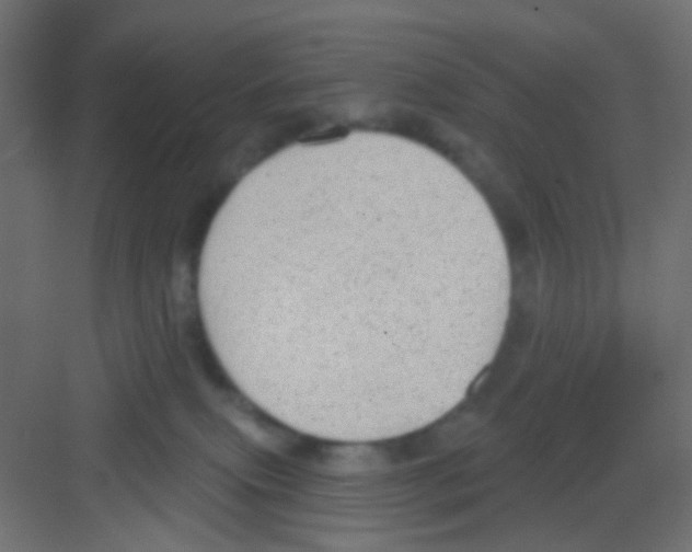 X0000081320087200702082147