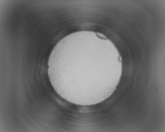 X0000081320091200702082147